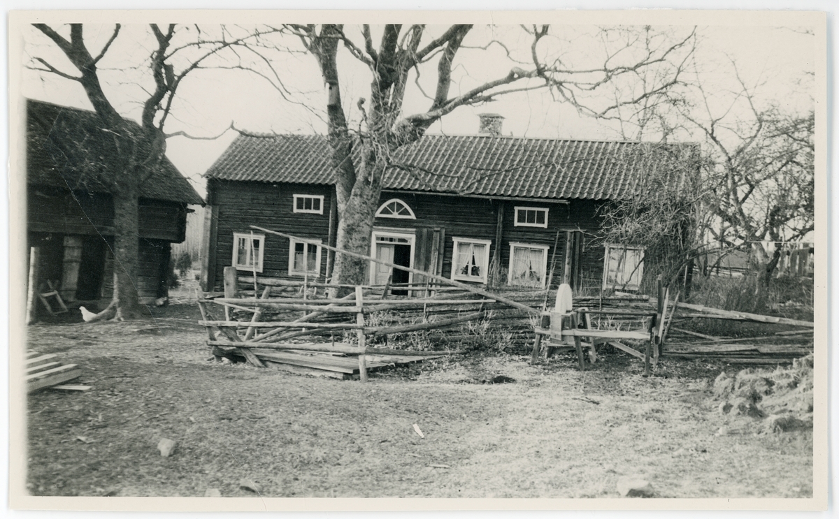 Gårdsmiljö, Alunda socken, Uppland 1926
