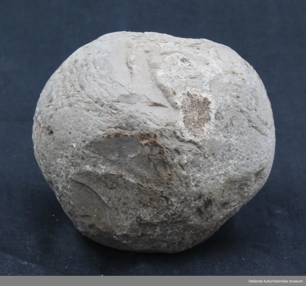 Knacksten i flinta. Lätt kantig form. Två fossil på ena sidan. Möjliga spår efter fossil i form av raka håligheter i stenen.