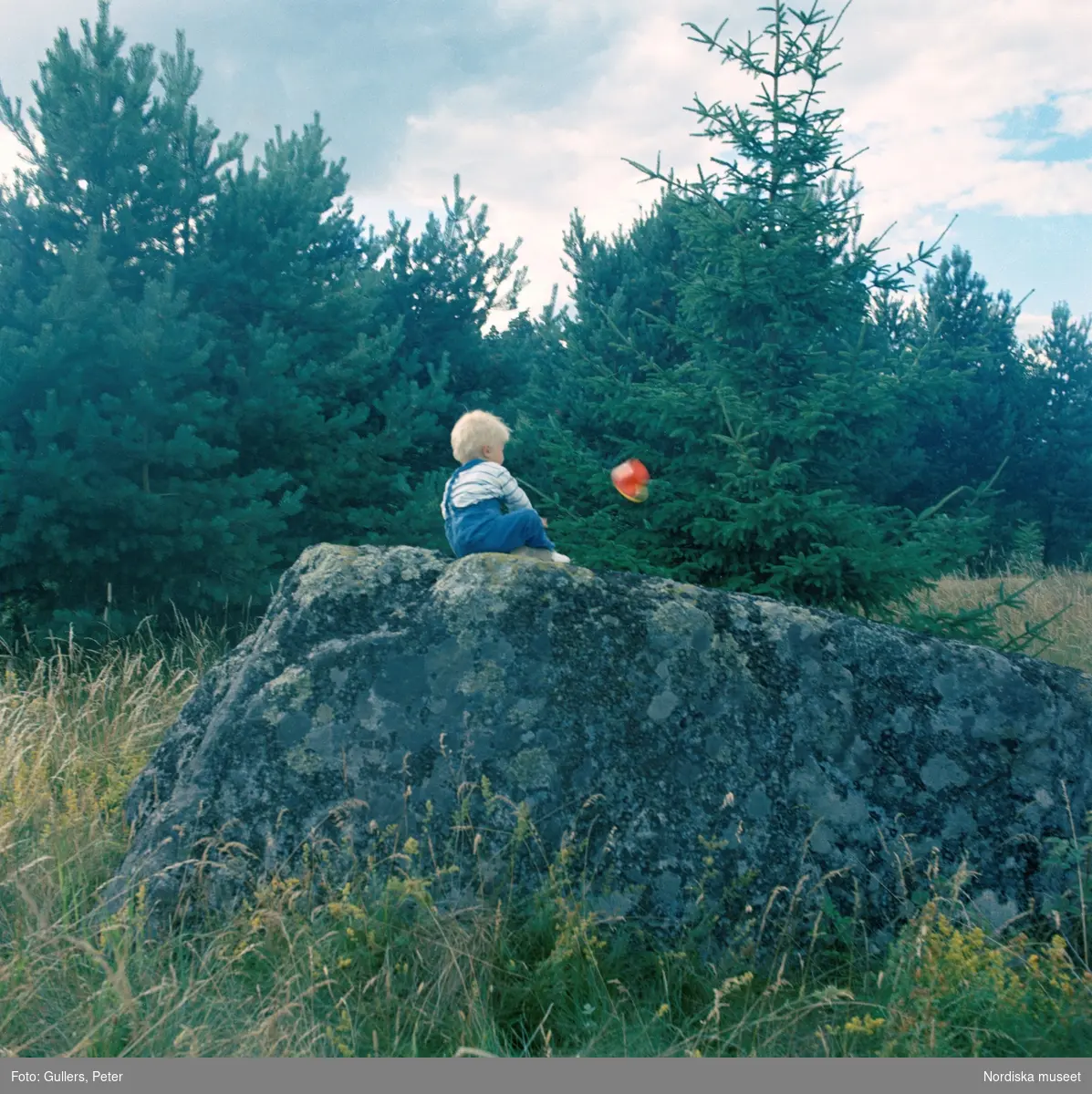 Sommarställe. Ett litet barn sitter på en stor sten på en äng med gran och tallar i bakgrunden. Något rött -kanske en plasthink med gult handtag? far igenom luften framför barnet.