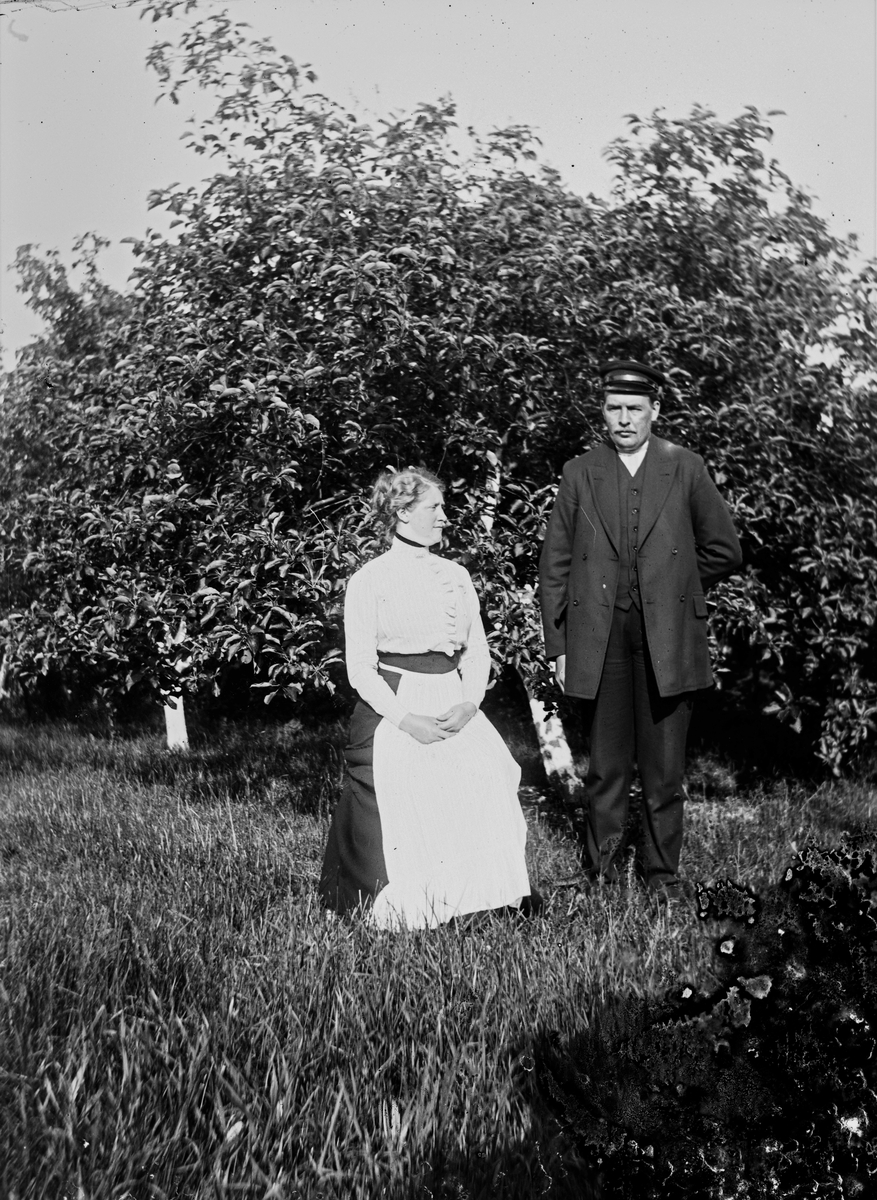 Troligen paret Ahlberg i sin trädgård, där fruktträdens stammar vitkalkats till skydd mot för stark värme och insekter.