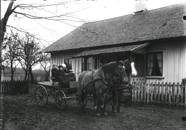 Från vänster: Lennart, Sten, Dagmar och Sture födda Gustafsson. Hästarna heter Gulli och Lova. Stensered, Drängsered. Huset har en farstukvist med snickarglädje. (Se även bild HB52)