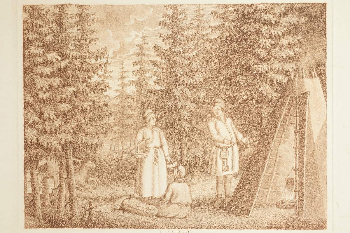 Gravyr av Fredrik Erik Martin efter förlaga av Pehr Hilleström från omkring 1800. En samisk familj utanför en kåta i skogen, renar bland träden. L.A. 1044. Jämför NMA.0103165.