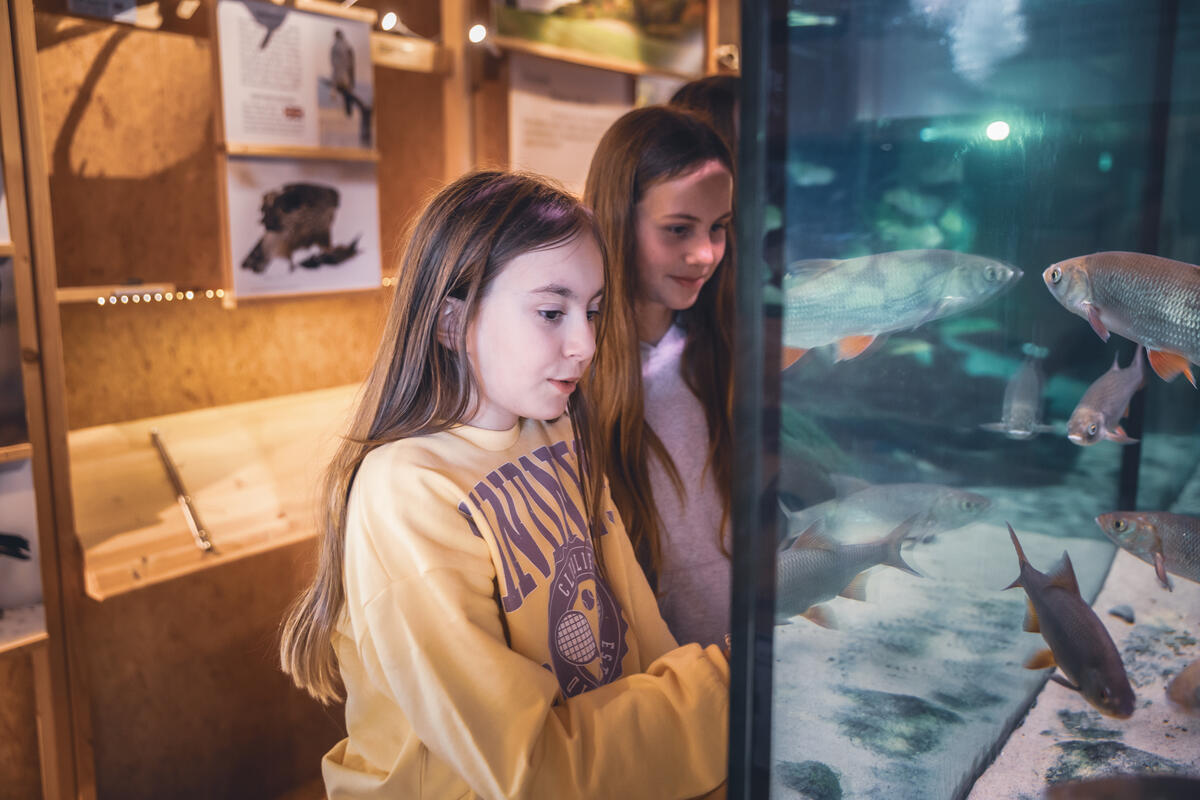 Foto av to jenter som ser på fisker i akvariet på besøkssenteret
