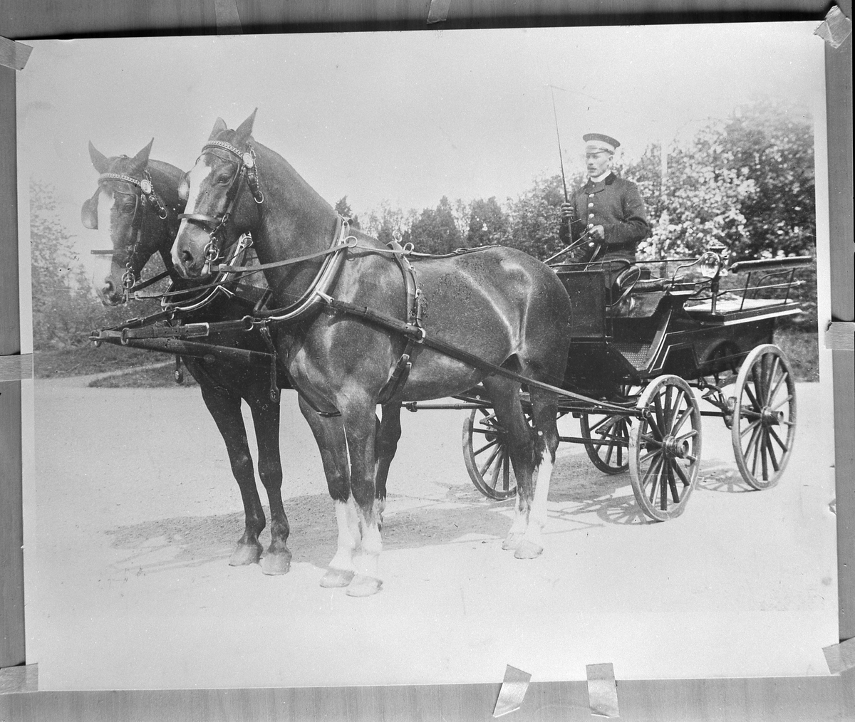 Reprofotografi av foto på kusk och häst med vagn.