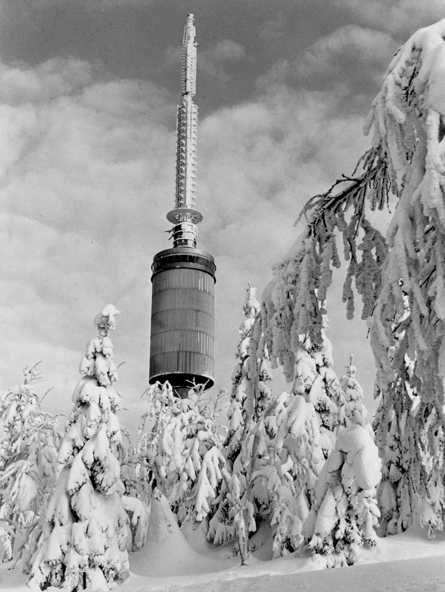 Foto av Tryvannstårnet delvis gjemt bak snødekte bartrær.