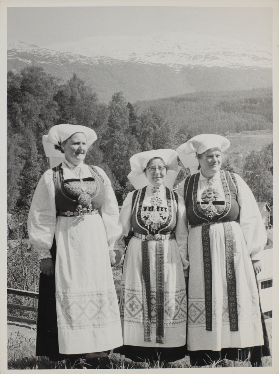 3 ferme koner fra Hardanger i Ulvik