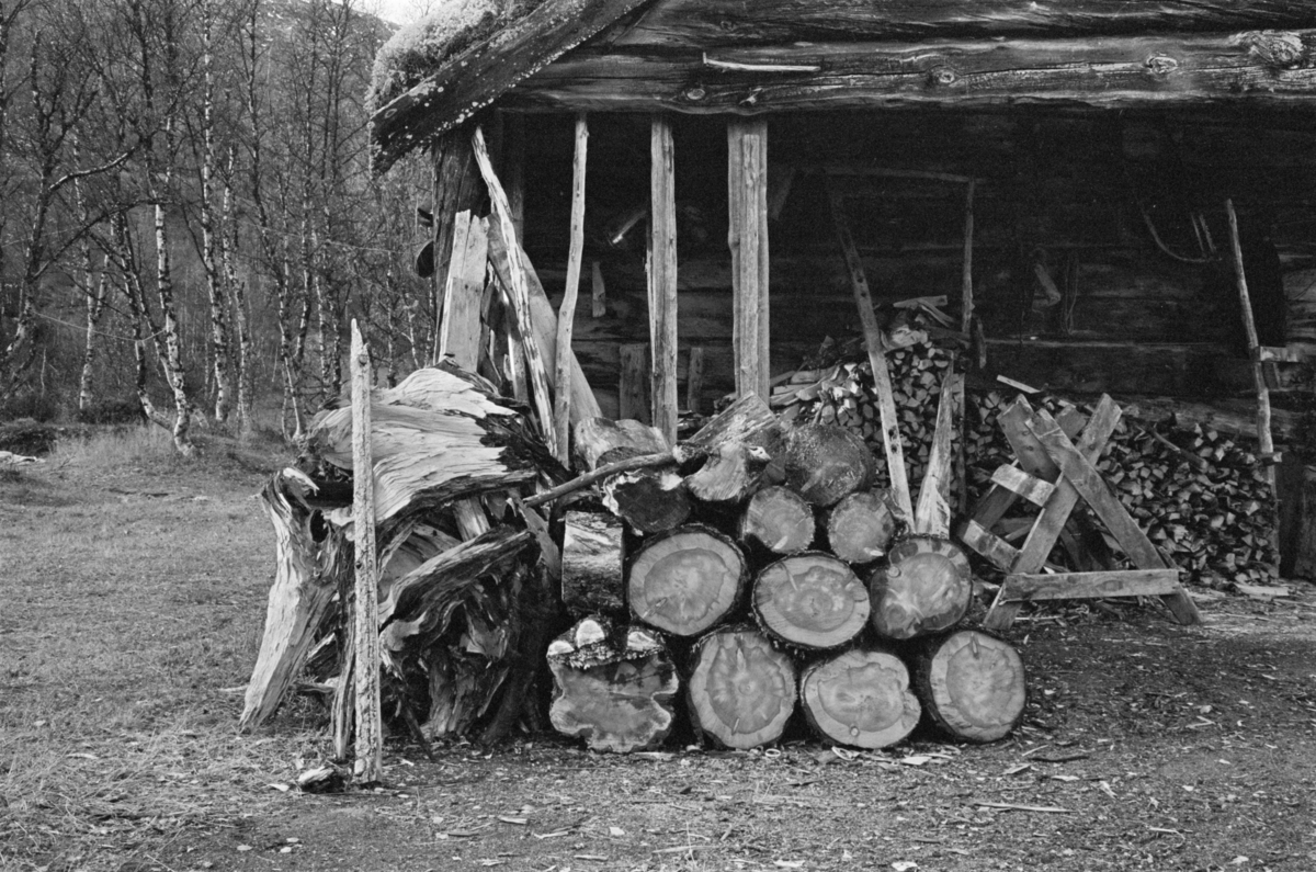 Tømmerstokker ved et hus i utmark ved Røros.