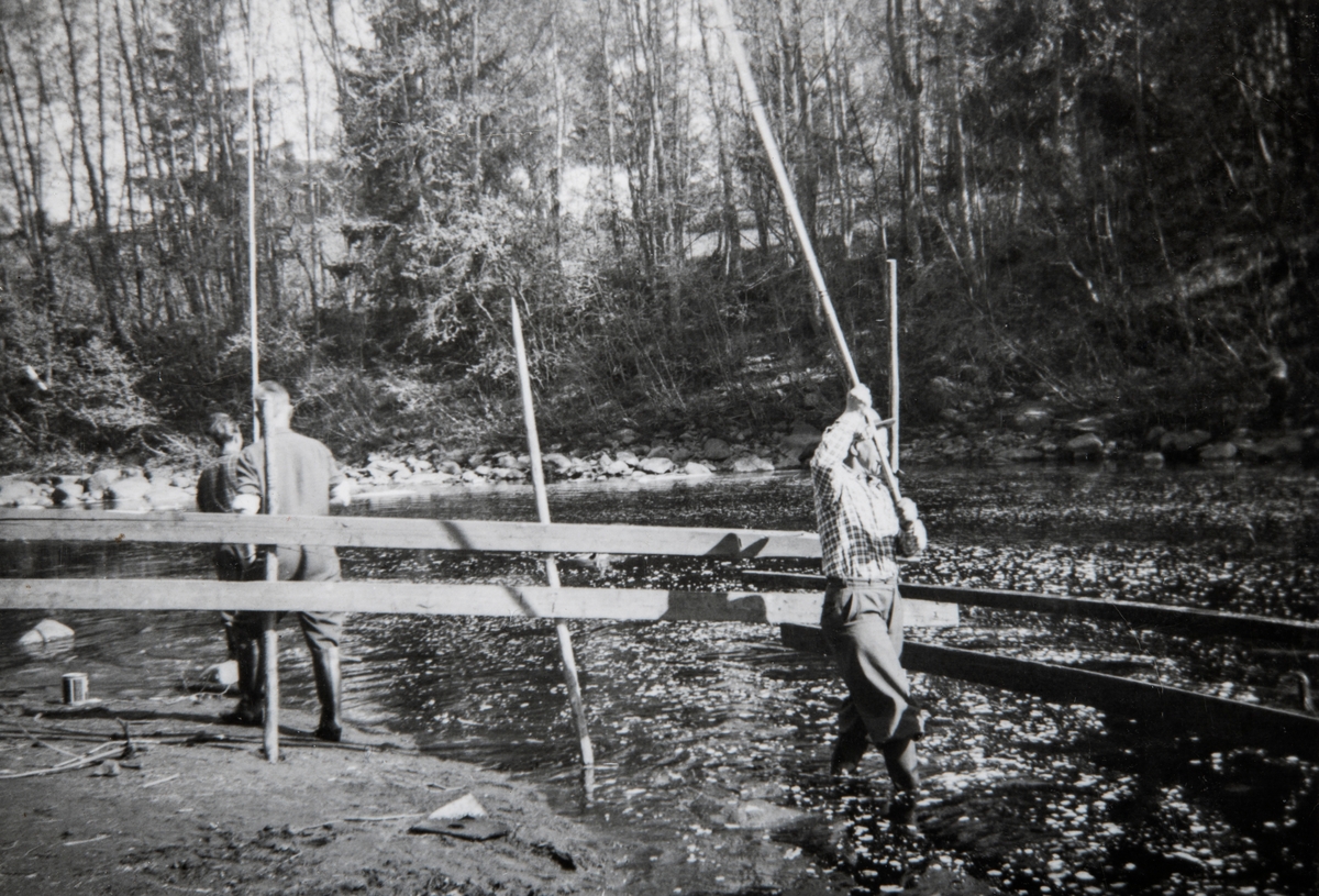 Fisking i Svartelva. Fisking med markstang. Arne Furulund (1919-2002 ...