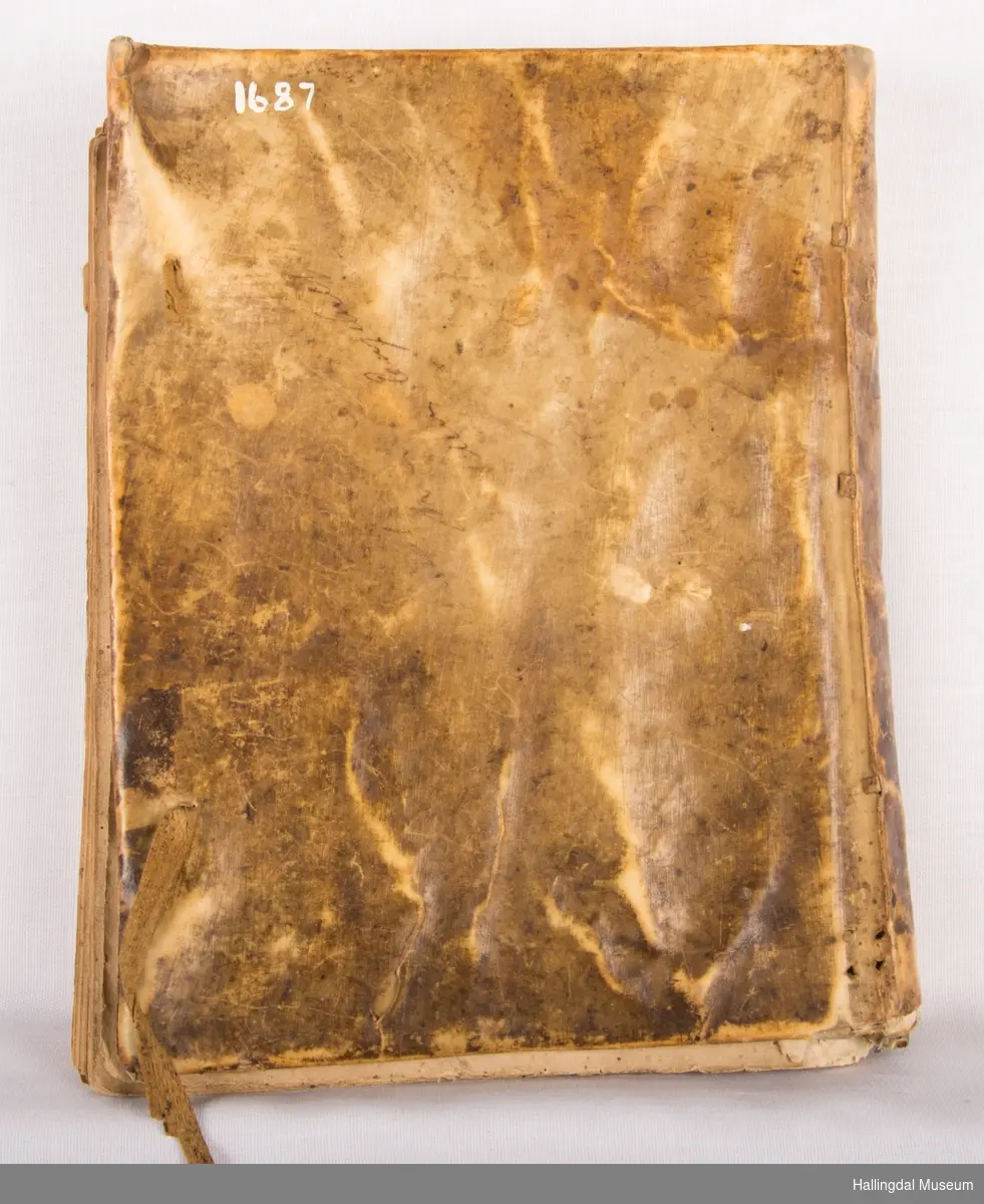 Boken er skrevet med blekk. Tittelblad: NES HOFUID KIERCHIS AARLIG VISSE INDKOMST.
Fra 1675 til 1725. Skinninnbinding. På hver av permenes forkant 2 skinnbånd til knytting. 1 bånd mangler på hver perm.  Boka har vært i  Nes gamle stavkirke.