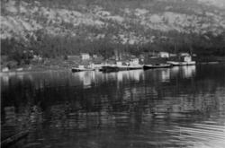 Sildesnurpere ved Mørsvik i 1942.