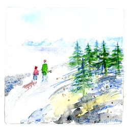 16) Juletrehugst - Desembervandring