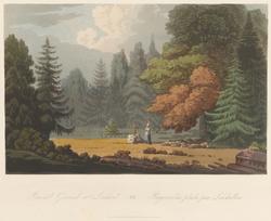 Kirkegården på Kollen [Grafikk]