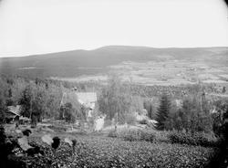 Kort: Ringebu. 25.08.1907. B. Narvesens villa nordfra. Villa