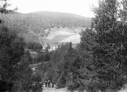 Kort: Lesja 19.06.1908. Gården Traasdal (Tråsådalen søre) fr