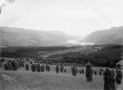 Kort: 30.08.1909. Ringebu. Utsikt fra Høystad mot syd. Gårds