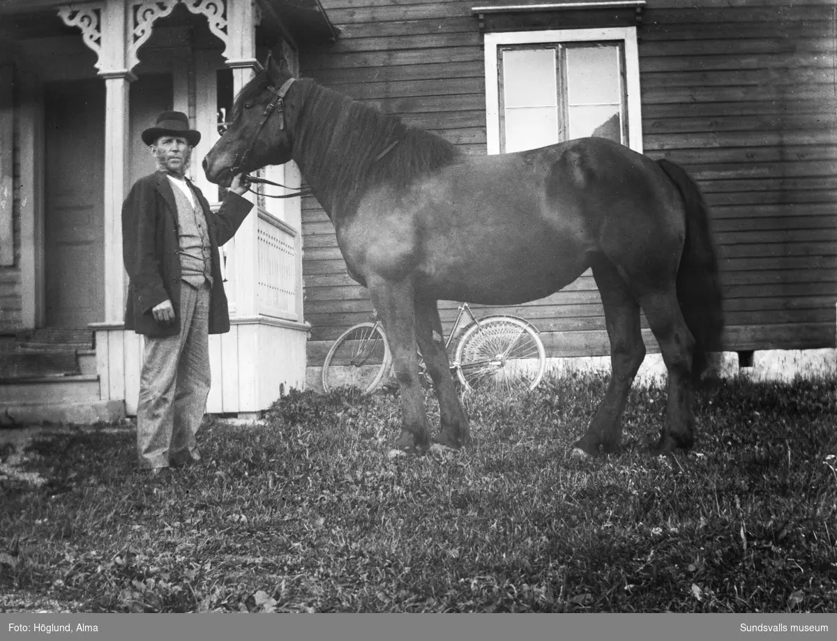 Jonas Sundberg, Gräfte, står med en häst framför brokvisten till ett timmerhus. På bild två är det en äldre man som håller hästen.