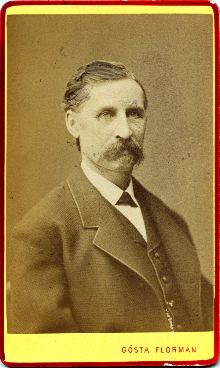 Porträtt på Carl Adelskjöld november år 1879