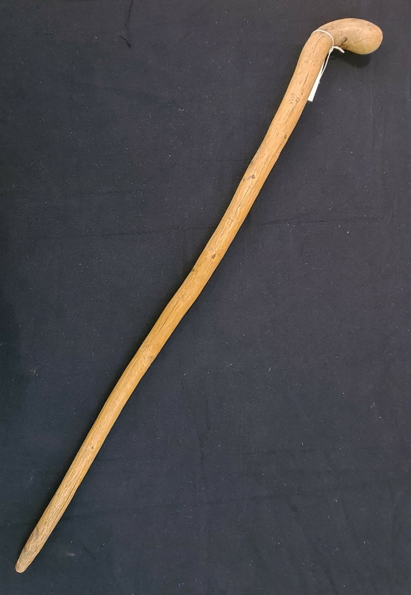 KÄPP - Vänersborgs museum / DigitaltMuseum