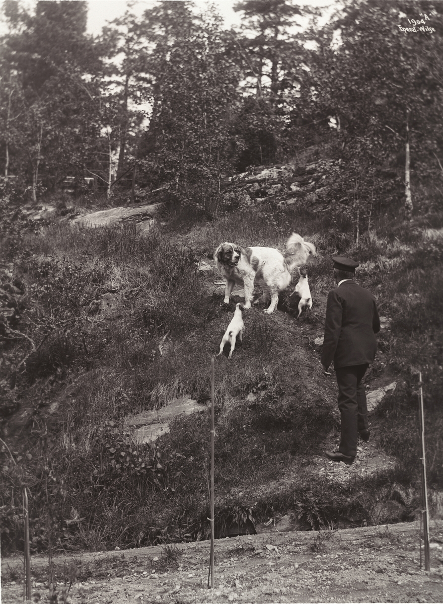 Roald Amundsen med sine trofaste følgesvenner 3/6 1910