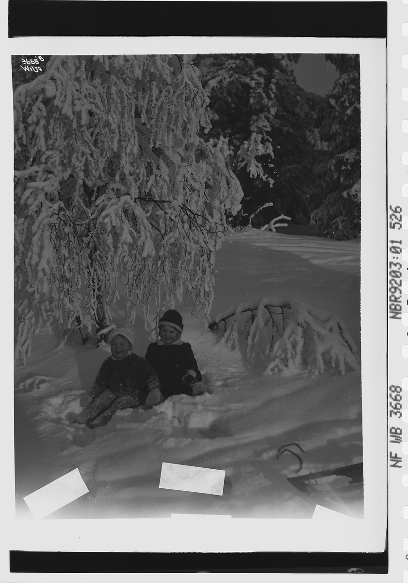 Fru konsul Thoresens barn fotografert i snøen foran et tre. Fotografert 1912.