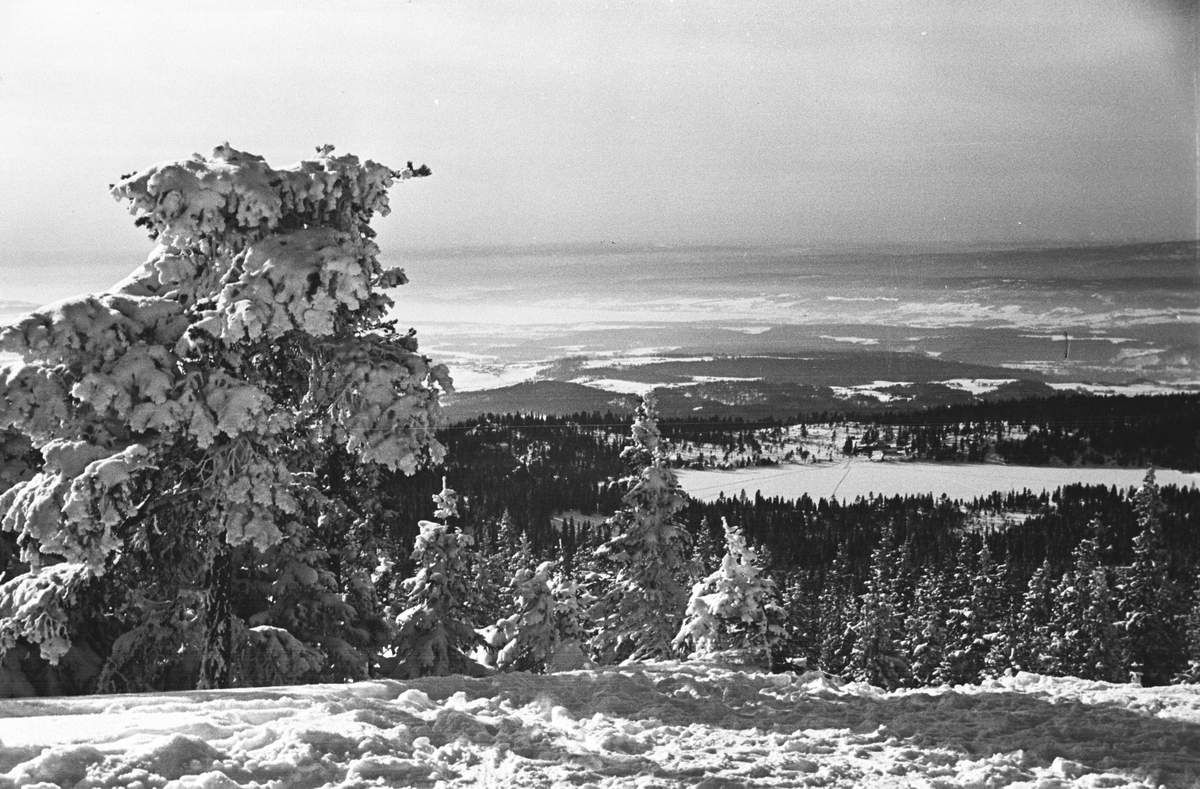 Utsikt fra Ringkollen mot Haugsbygda i vinterlandskap. Ringkollen, Ringerike. Fotografert 1941.