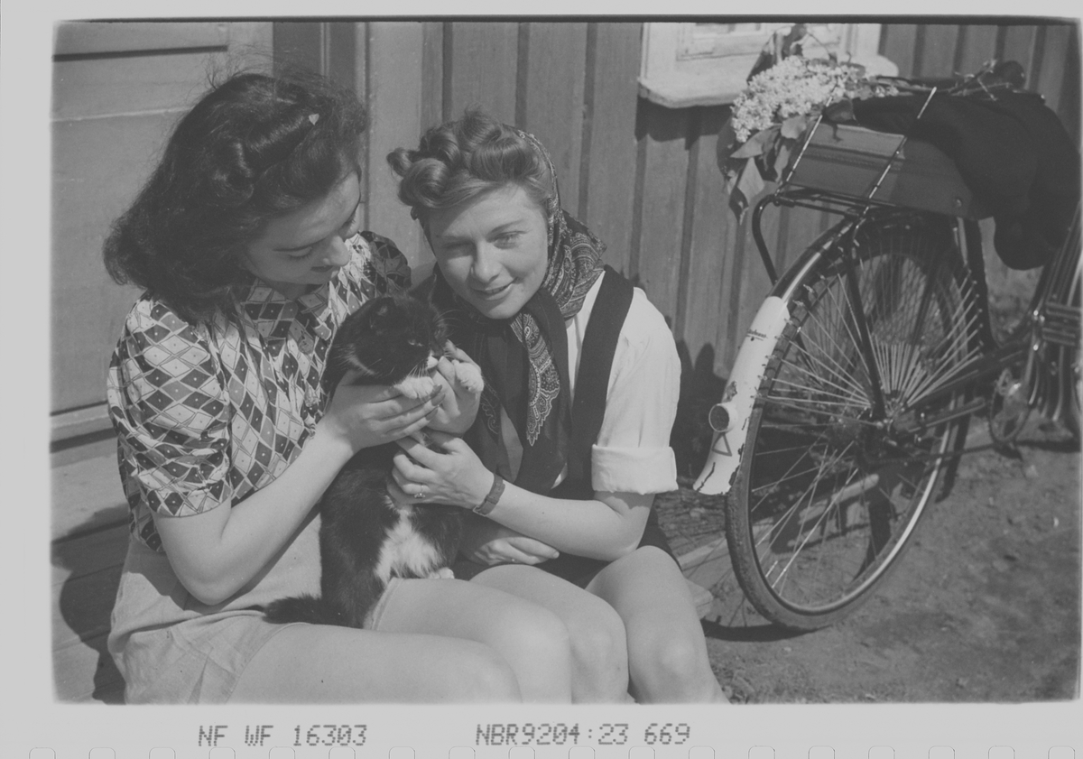 To damer hygger seg i solen, en kattunge har kommet på besøk og får en ekstra kos av damene.