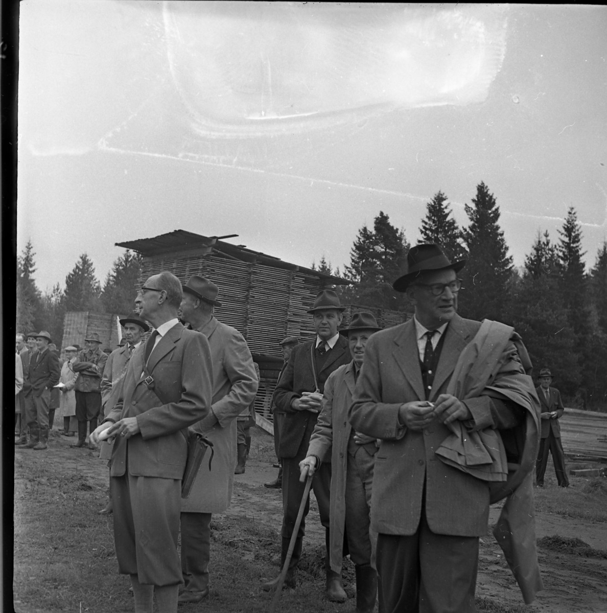 Skogsdag Örserums brunn 1961. Framför en brädgård står några män. De tittar sig omkring. Vissa av dem bär hatt. En man håller i en käpp. Skogen skymtar i bakgrunden.