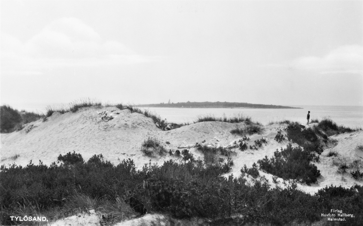 Vykort, "Tylösand." Sanddyner vid Tylösand med solande och utsikt mot Tylön.