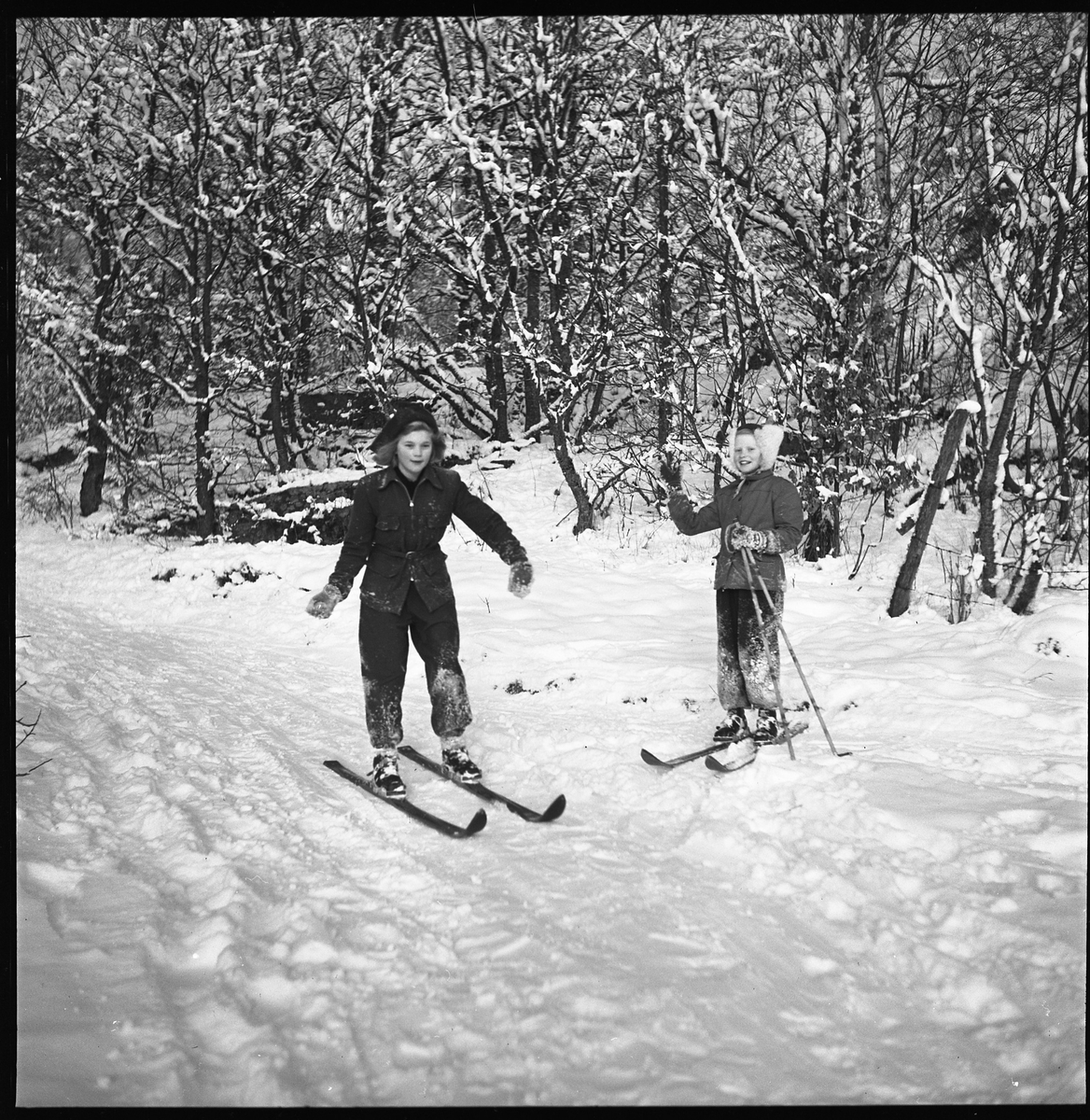 Skidåkning på skogsväg, dec 1950 - Alingsås museum / DigitaltMuseum