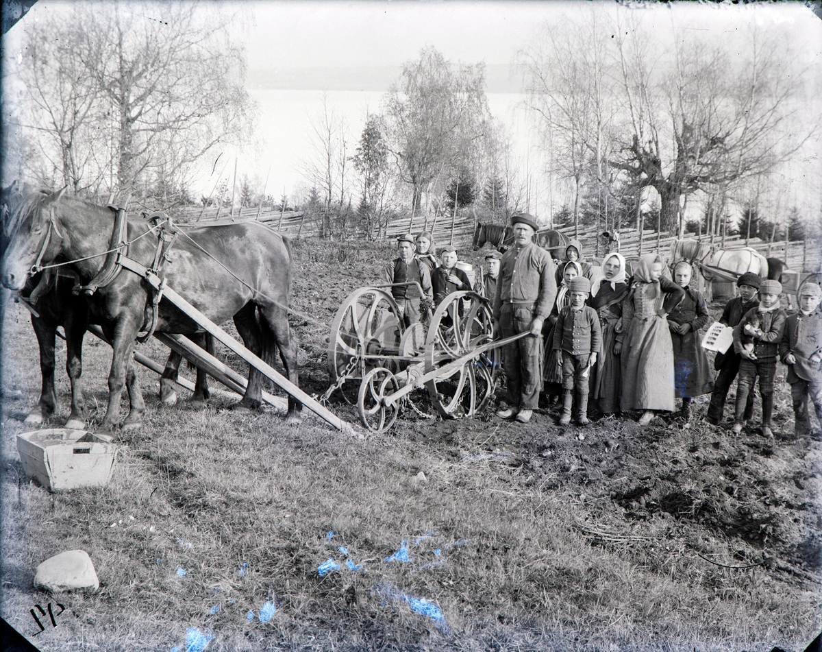 Potetsetting på Hovinsholm gård. Hester og hesteredskap. 
Nr. 1 fra venstre er muligens Sigurd Madsen. Ukjent kjører hesten. Gustav Hoel står ved siden av. Broren Jacob Albert Hoel er nr. 2 fra høyre. Alle de andre barna er ukjente.