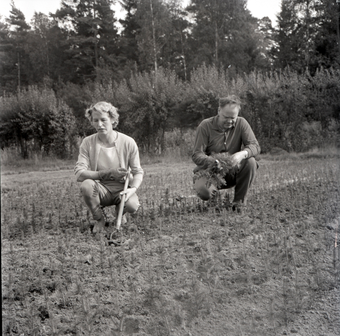 Arthur Kristoffersson och Ebba Jansson, Böda.