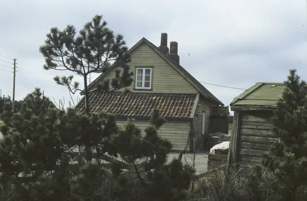 Kulturvernplan - Arkeologisk Museum, Universitetet I Stavanger - Foto ...