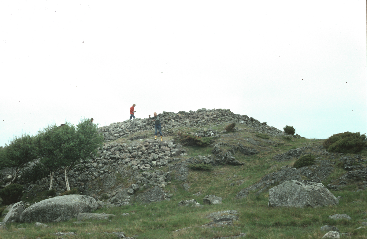 Naturhistoriske undersøkelser - Kårstø - Arkeologisk museum ...