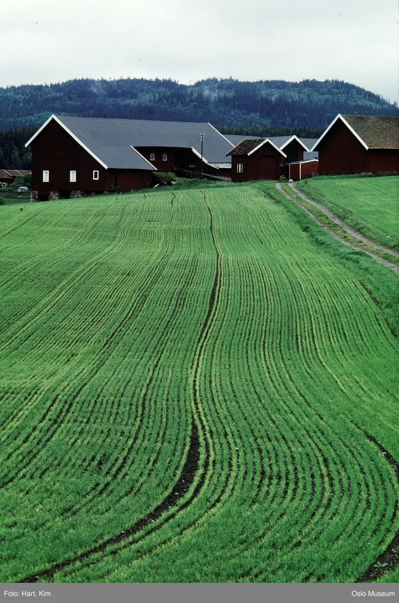 Østern gård fra Griniveien. - Oslo Museum / DigitaltMuseum