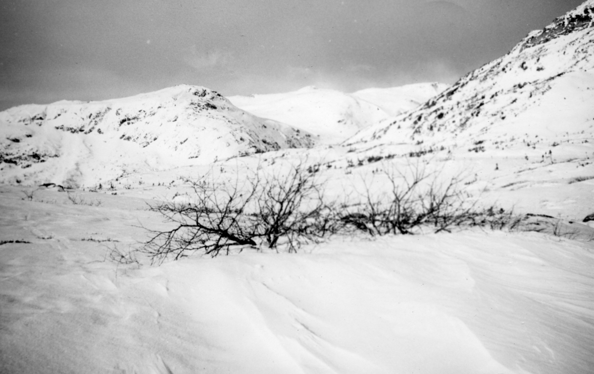 6 ulike vinterbilete frå Lifjell