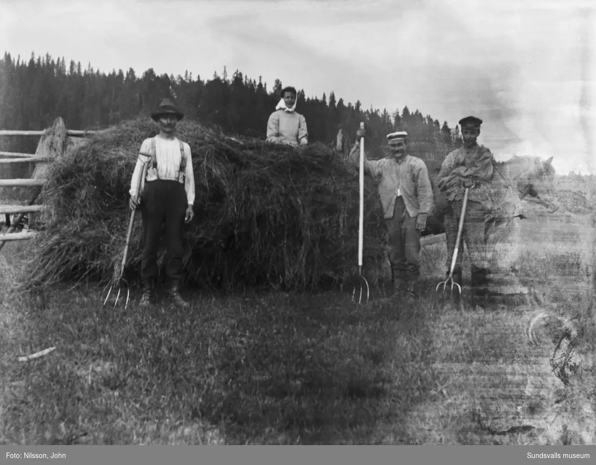 Höskörd, troligen på Roken i Laggarberg. På det hästdragna hölasset sitter en kvinna, framför står tre män med högafflar.
