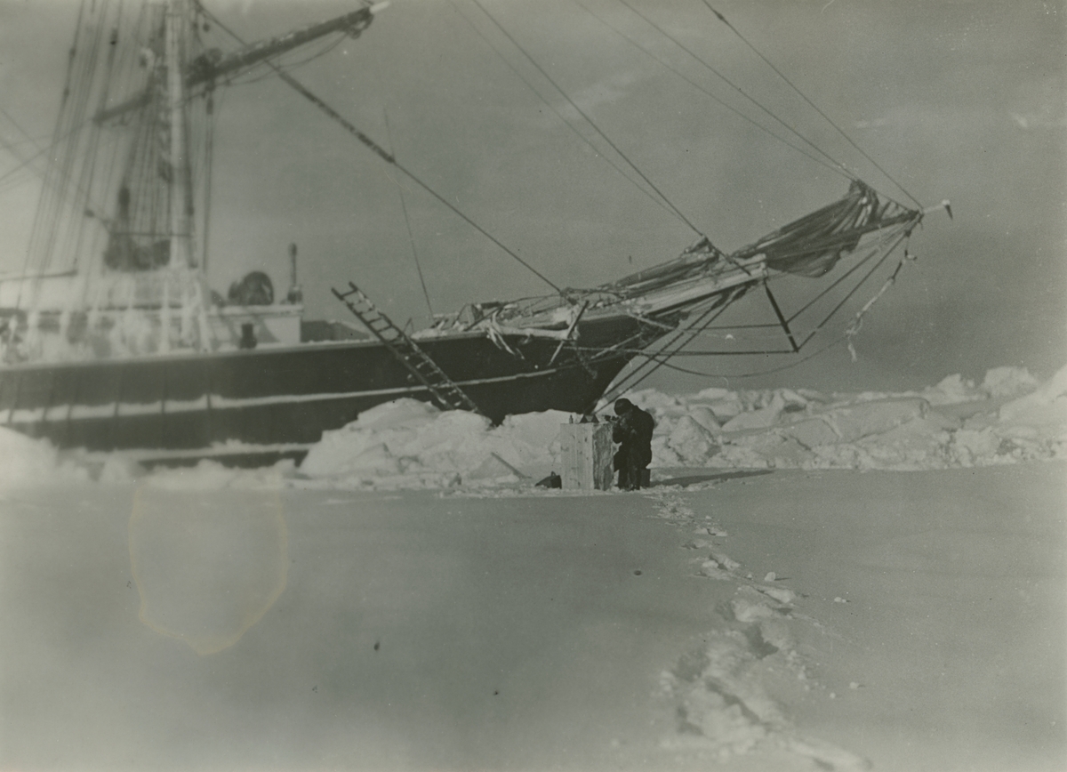 Fotografi från expedition till Grönland. Motiv av stort fartyg, troligen Antarctic. Fartyget har stannat vid ett snötäckt islandskap. En i besättningen har, troligen med hjälp av stegen på bilden, tagit sig ner från båten, sannolikt för att ta bilden med hjälp av självutlösare.