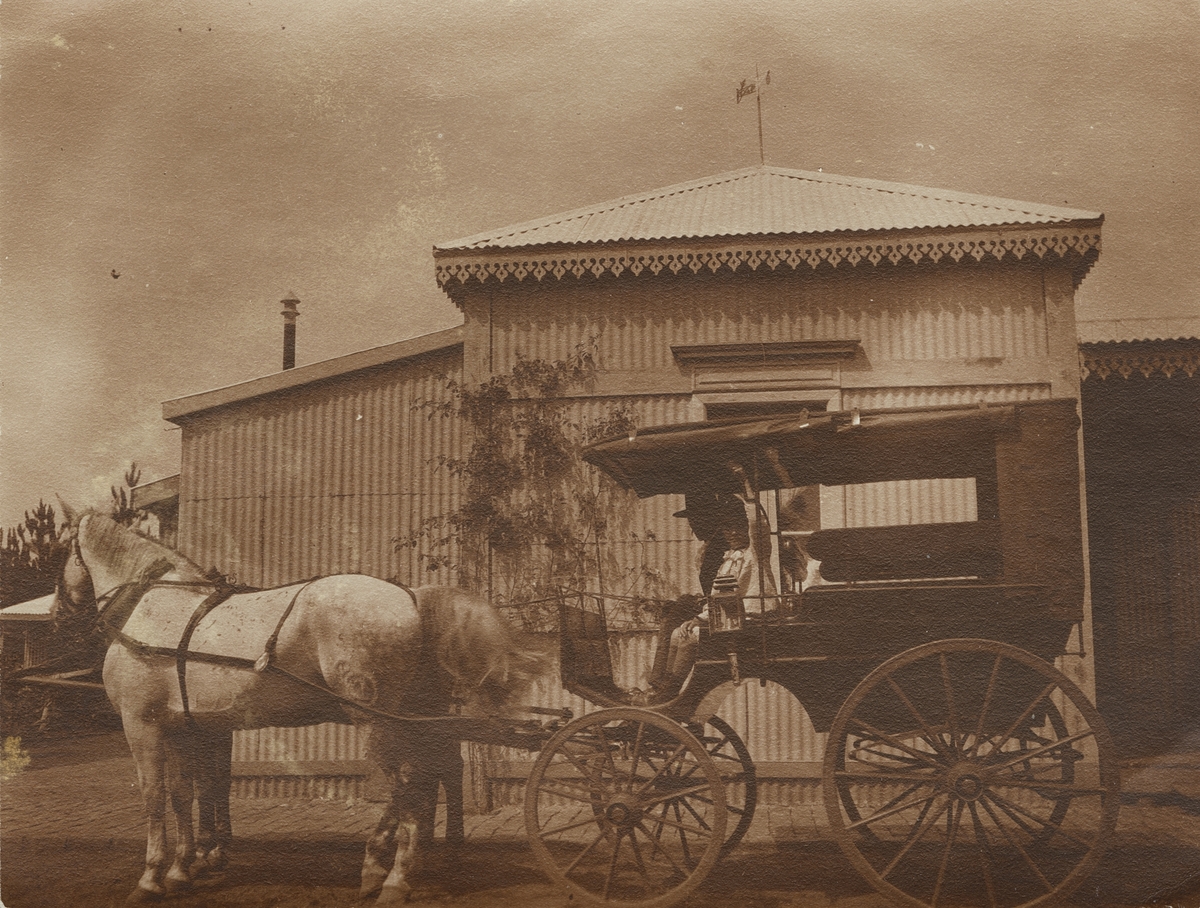 Fotografi från första svenska Antarktisexpeditionen 1901-1904. Motiv av två hästar och droska utanför hus.
