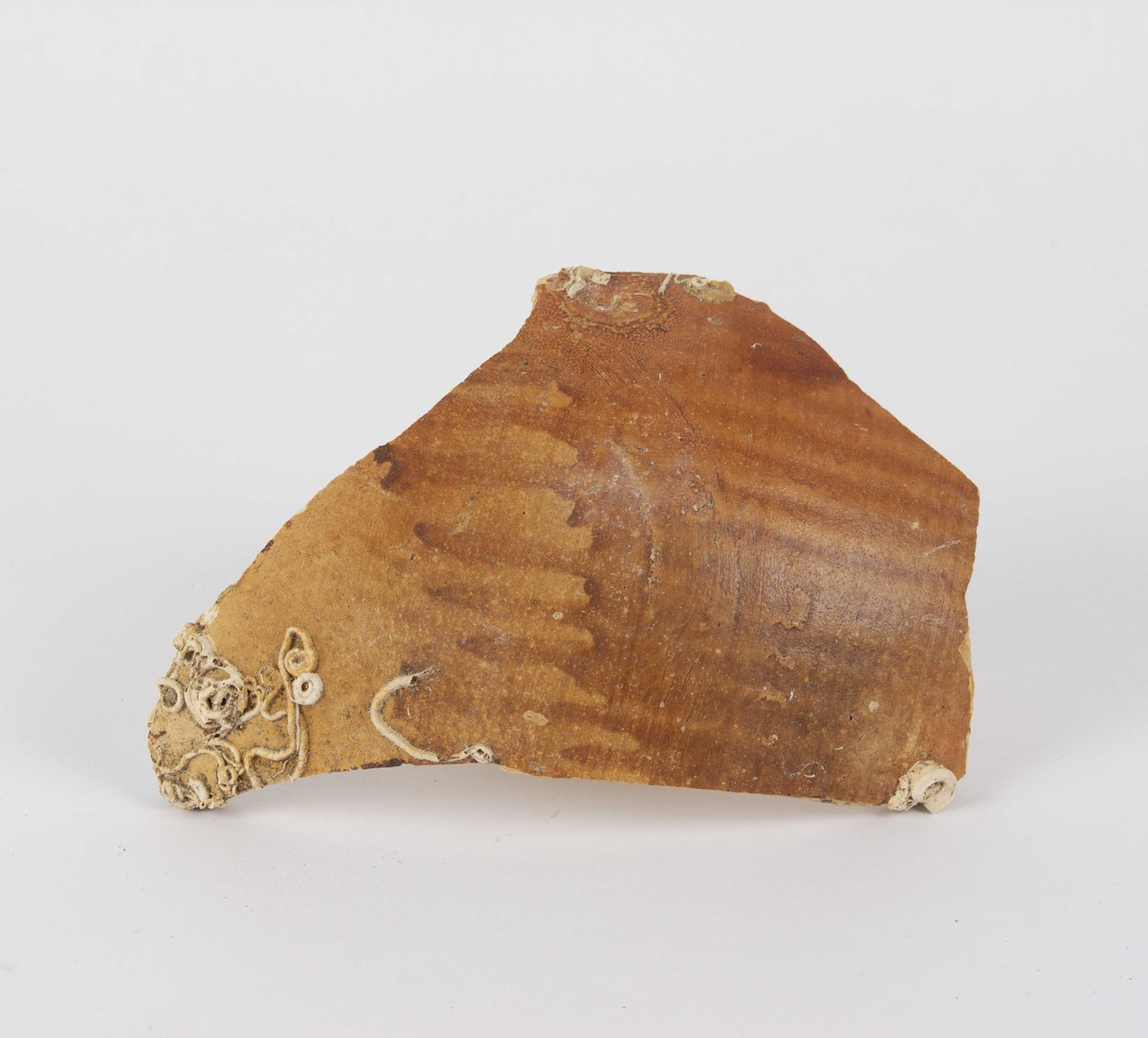 Sjøfunn. Keramikkskår av Rhinsk stein (2 stykker) funnet ved Bognesstraumen.