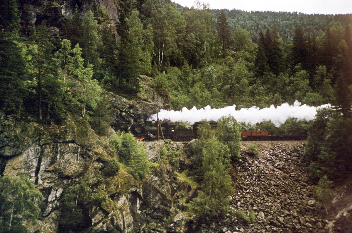 Damplokomotiv type 21b nr. 225 med godstog fra Kongsberg til Rødberg mellom Flesberg og Veggli stasjoner på Numedalsbanen