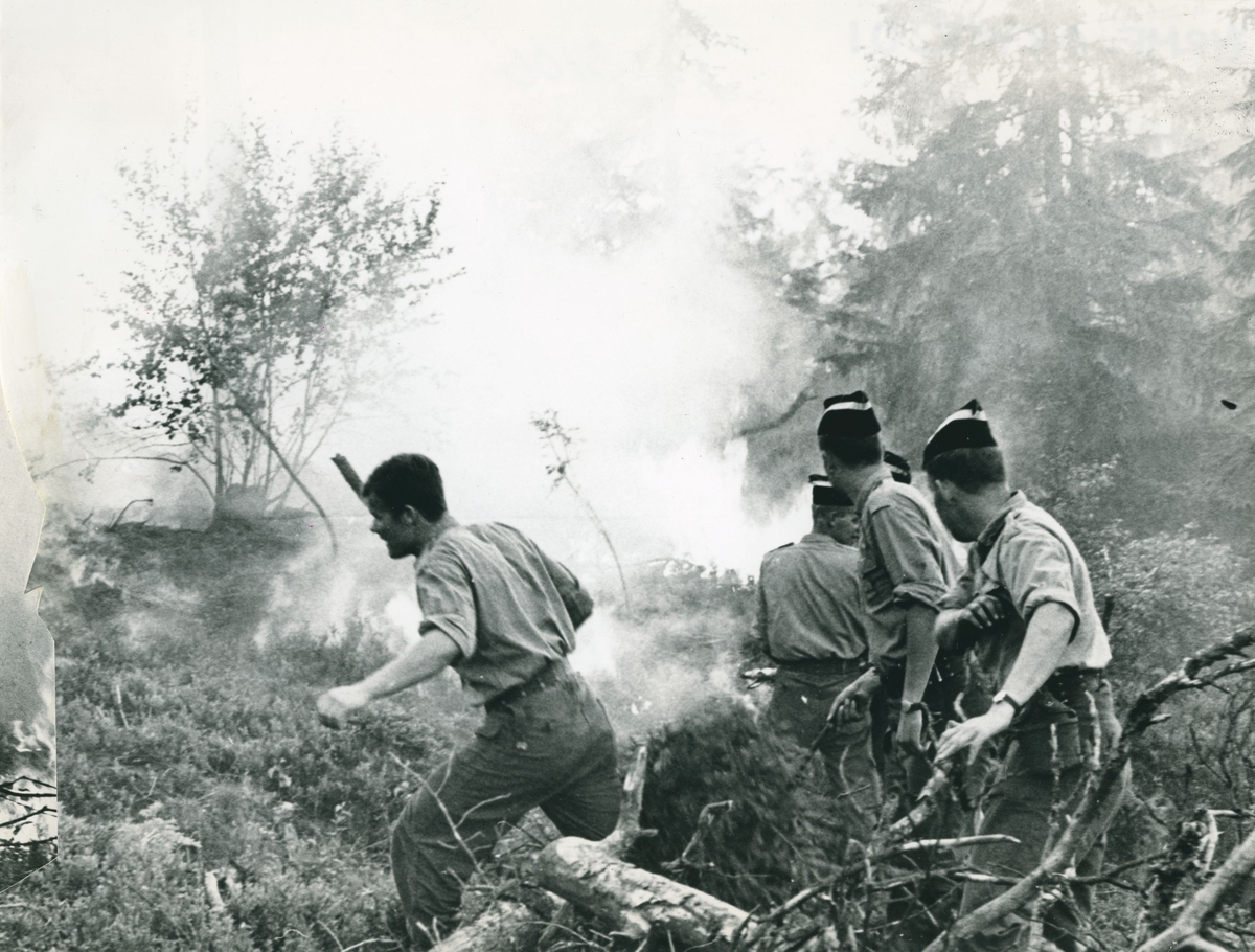 Gardister og sivile slukker skogbrann.