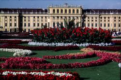 Schönbrunn slott i Wien.