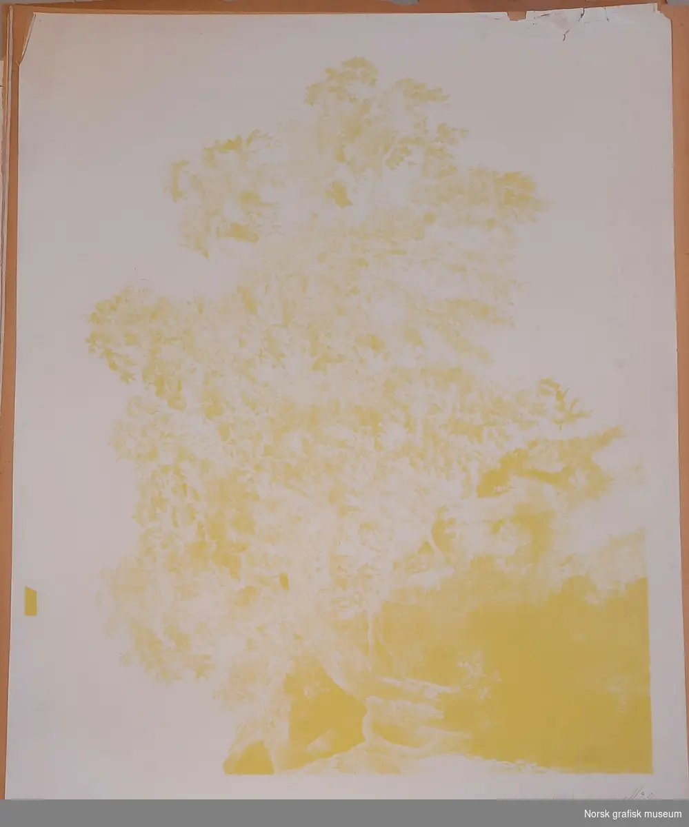 Trykkark merket "No. 7", håndskrevet med blyant. Litografisk reproduksjon av I. C. Dahls maleri "Birk i storm" (eller "Bjerk i storm") fra 1849, utført med femten ulike trykkfarger og med en litografisk stein per farge. Dette trykket er med fargen "I GUL".