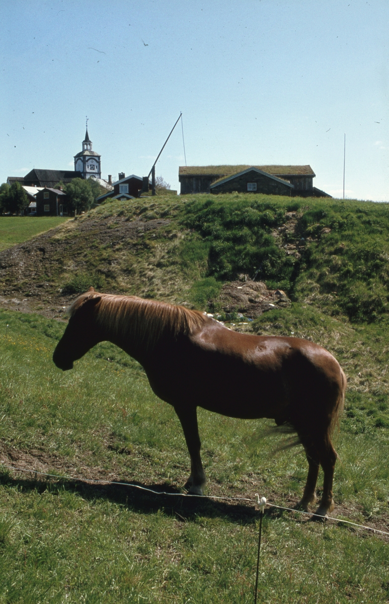 Aasengården Røros 1978