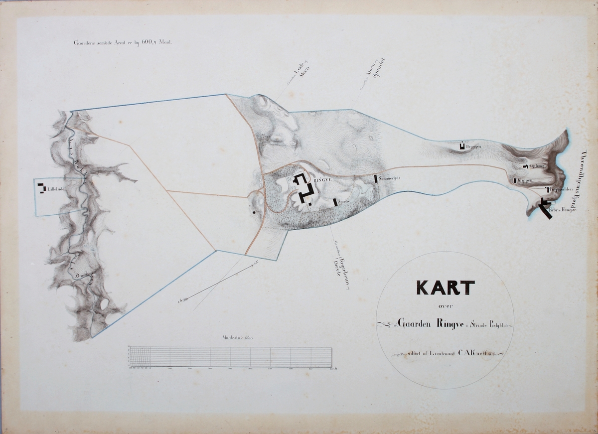 Tegnet kart som viser eiendommen til Ringve Gård. i 1875. På høyre side av kartet er fjorden og på venstre siden er Ladebekken og parsellen Lille Lade. Midt i kartet er Ringve med sine bygninger. 

Tegningen er utført av C. A. Knoff. 
