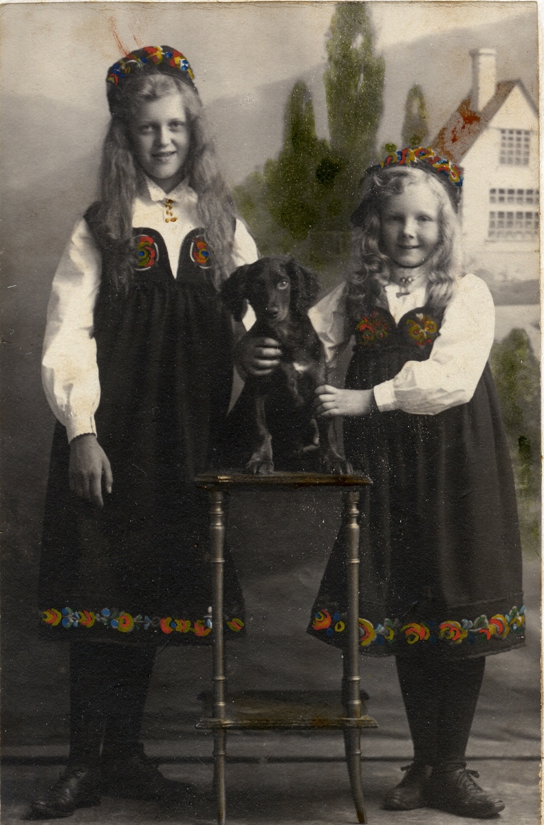 Portrettfoto. Helportrett av to jenter i Hallingdalsdrakt og en hund.