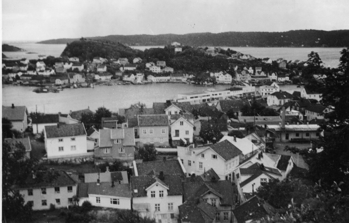 Jørandsberg og Andølingen sett fra Skriverheia. Ca.1970
Øya i bakgrunnen..