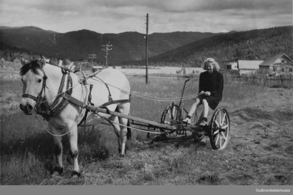 Brynhild Øyberg (f. 1925 g. Dagsgard) køyrer hesteslåmaskin på Nysetra