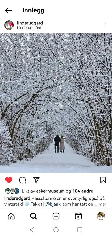 Skjermdump av Linderud gårds Instagrambilde.