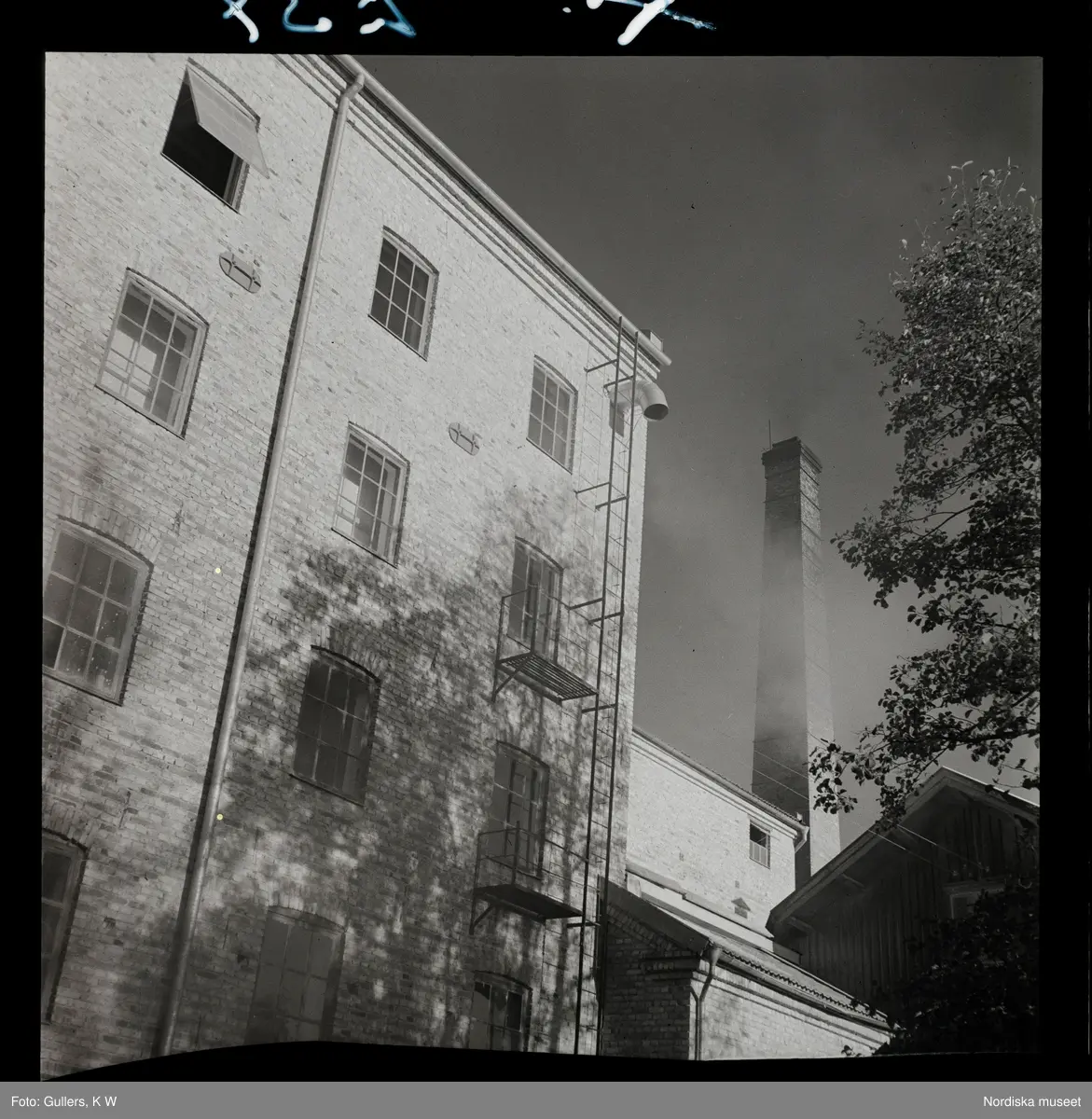 564 Vårgårda Havregryn - Nordiska museet / DigitaltMuseum